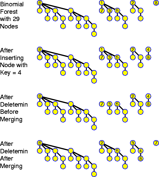 Operations on a Binomial Forest